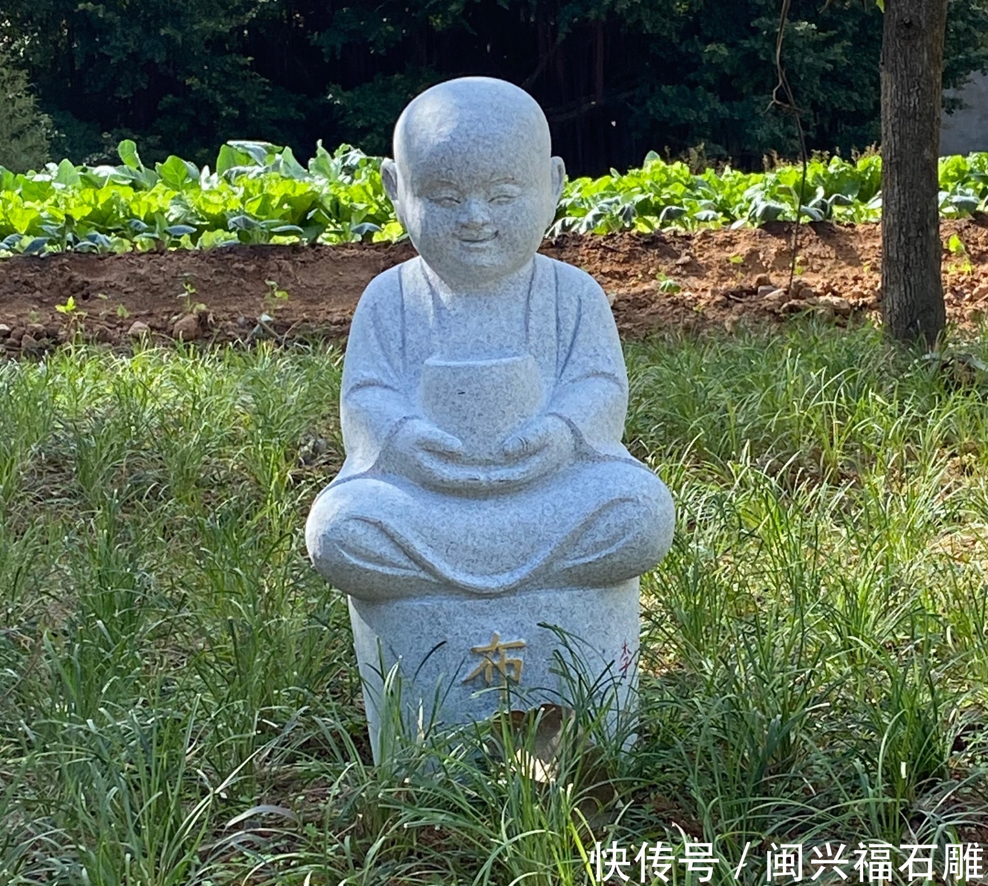 禅意雅致小沙弥的故事