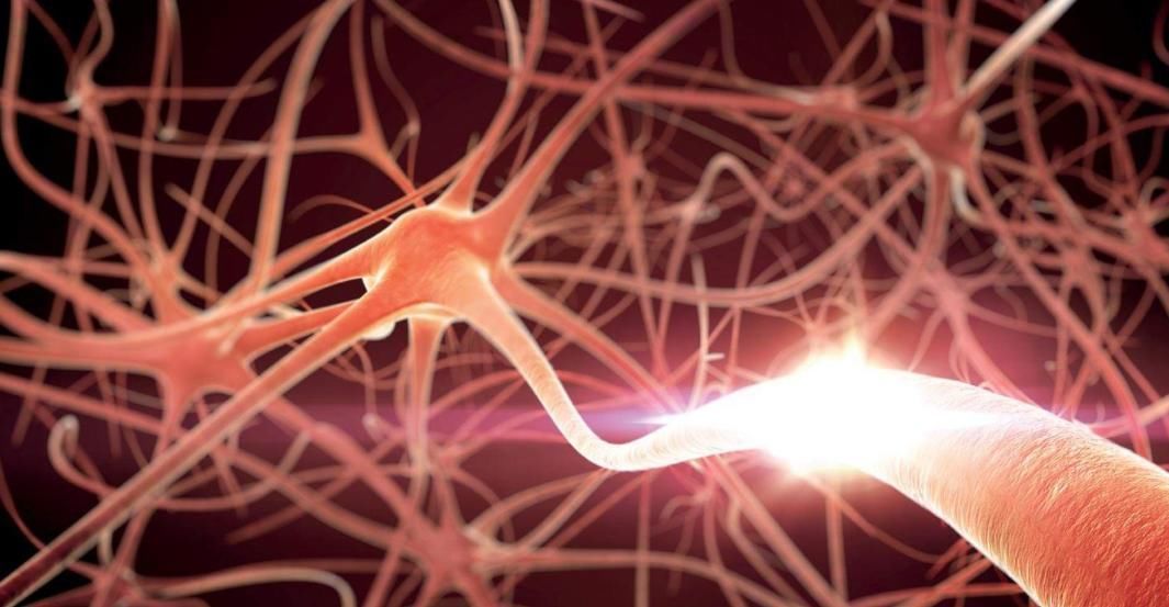 本人|日本普通家庭的“一日三餐”,看完明白冲绳人为啥“长寿”了