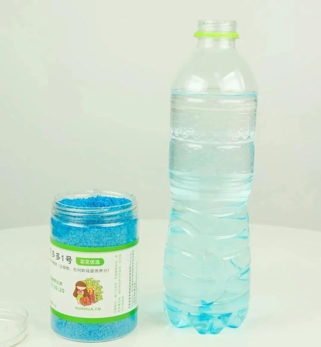 茉莉花后赶紧剪,剪完就开花,一直剪一直开