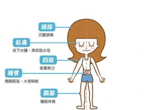 阴陵泉穴|每天坚持按摩这几个穴位几分钟,有效排出体内湿寒之气,美容瘦身