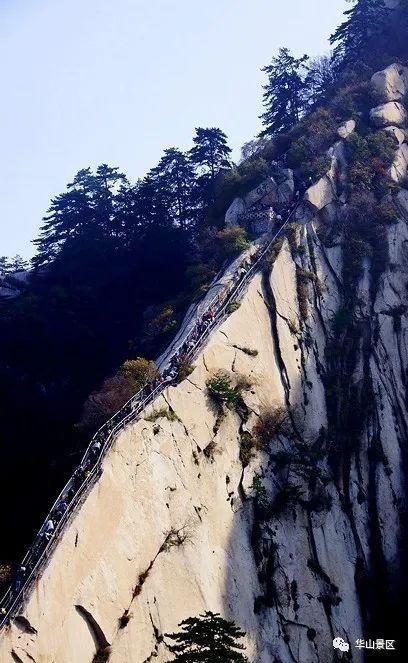 西峰|华山西峰——石叶上覆而横裂，如荷花