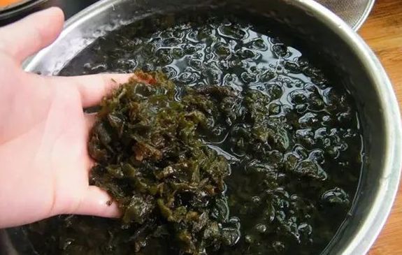 念珠藻|下雨后就能捡,以前嫌它脏,如今一斤80元,成稀罕野菜