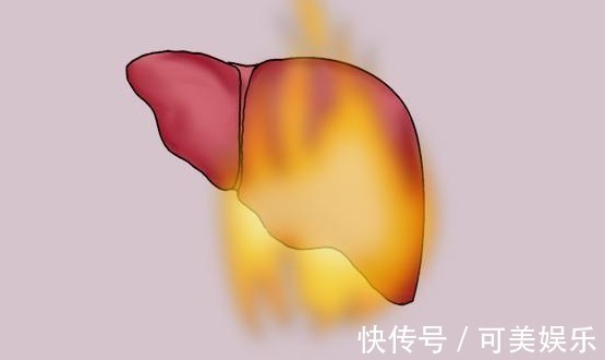 灭火|心火、胃火、肝火、肺火、肾火，各有不同，专家教你来灭火