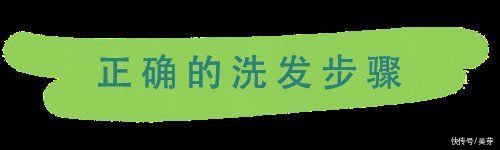 几天没洗头了?零掉发洗发大法来了