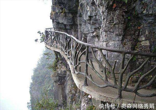 魏延|诸葛亮不用魏延的子午谷奇谋,是正确还是失败,你怎么看?