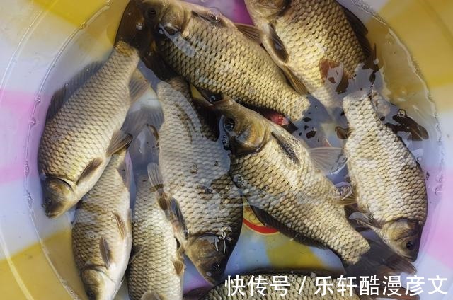 冬季钓鱼的一大禁忌!很多钓鱼人还不知道!建议立即改正!