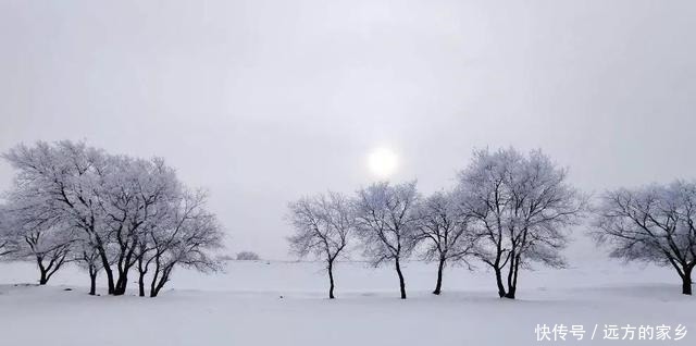 冰雪旅游目的地热度涨300%，新兴目的地呼伦贝尔了解一下！