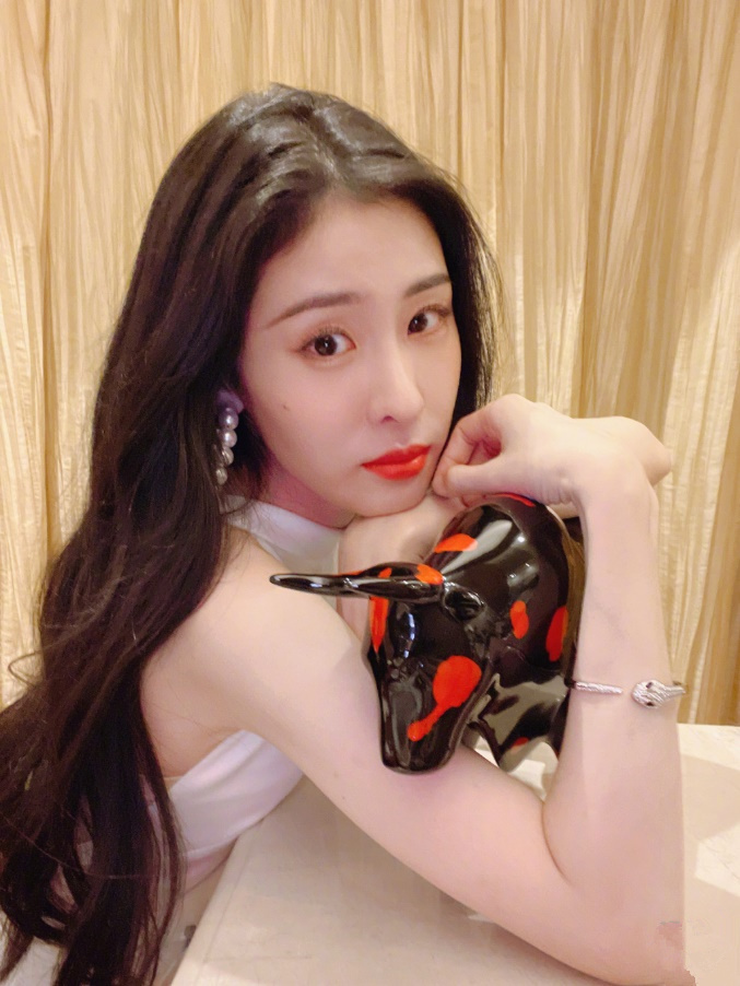 我家那闺女2|张碧晨为了生女损失2487万收入,但家中全是华晨宇最爱的动漫手办