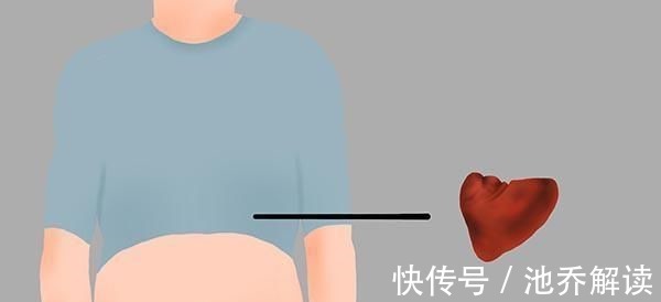 调理|一切大病从脾衰开始,脾的“恩人”被找到了,带着吃,养好脾