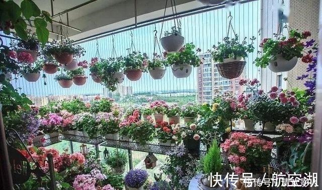 造园|7㎡迷你“阳台造园”小阳台这样布置,也能美成的花园!