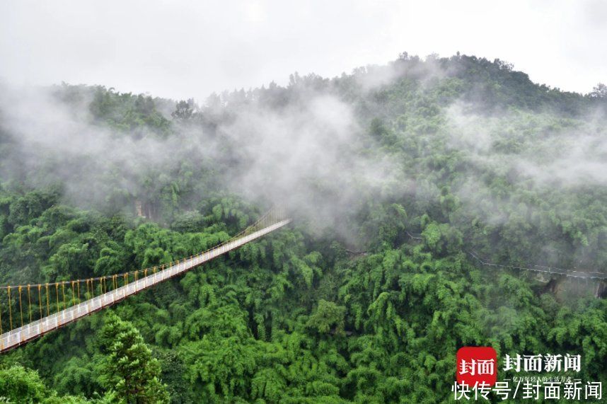 门票|向医致敬｜抽奖开始！想去川西竹海“嗨”吗？快来封面新闻抢门票