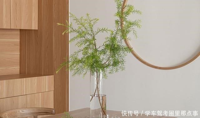 灰色|这对夫妻有远见，装修坚持一切从简，留白配原木，室内清新又自然！