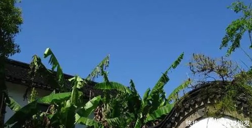 嘉兴有望“升级”的县,称作“旅游之地”,景点百年古树40多株