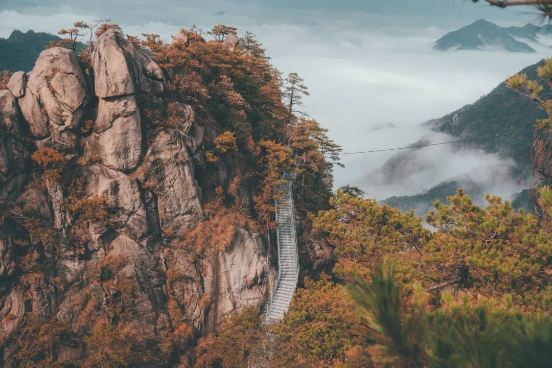 别错过周末好天气，来大明山邂逅一场秋日红叶吧！|登山赏秋 | 大明山景区