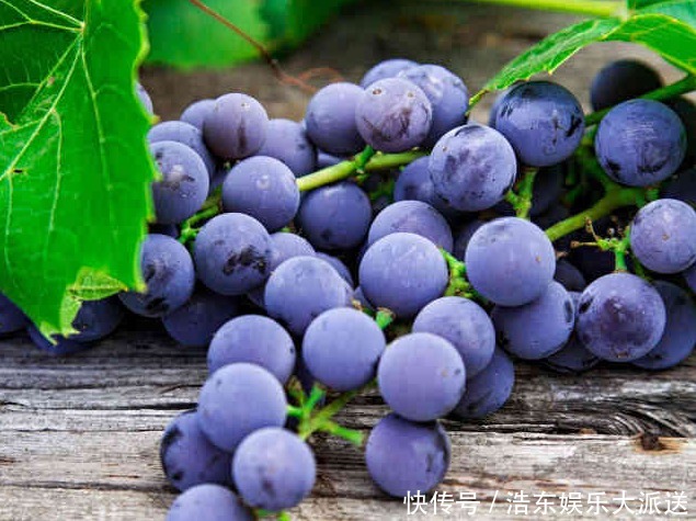 预防心脑血管疾病|长寿老人都在吃的5种水果,尤其是最后一种,很容易被人忽略!