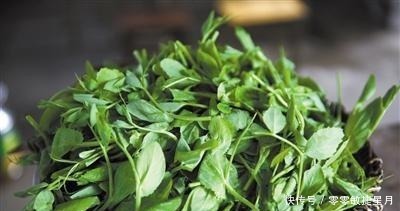  天然|他叫天然“补钙菜”，是一种钙补充剂