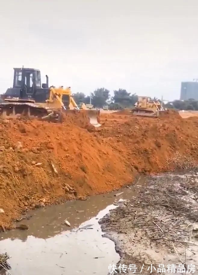 广州一水塘被填平,成群大鱼被困在泥水里无人捞,结果被活埋?