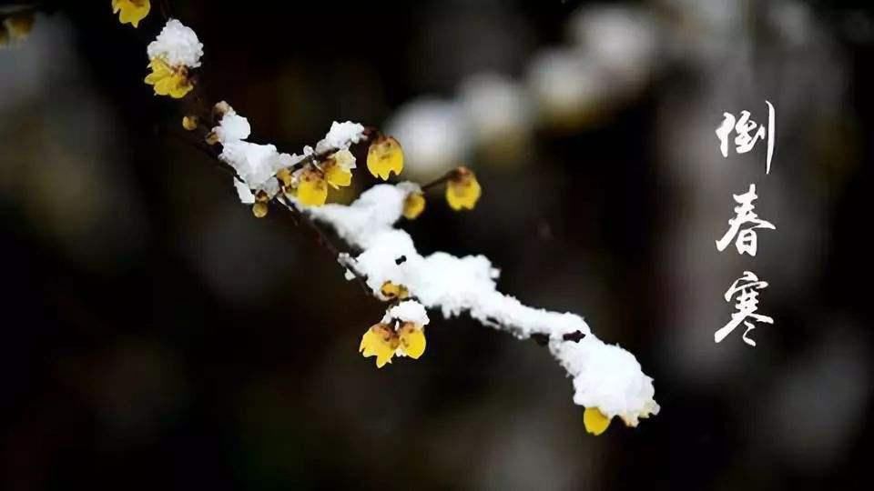  立春节气|农村俗语“寡妇年，倒春寒”，2021年是啥年？有倒春寒吗？