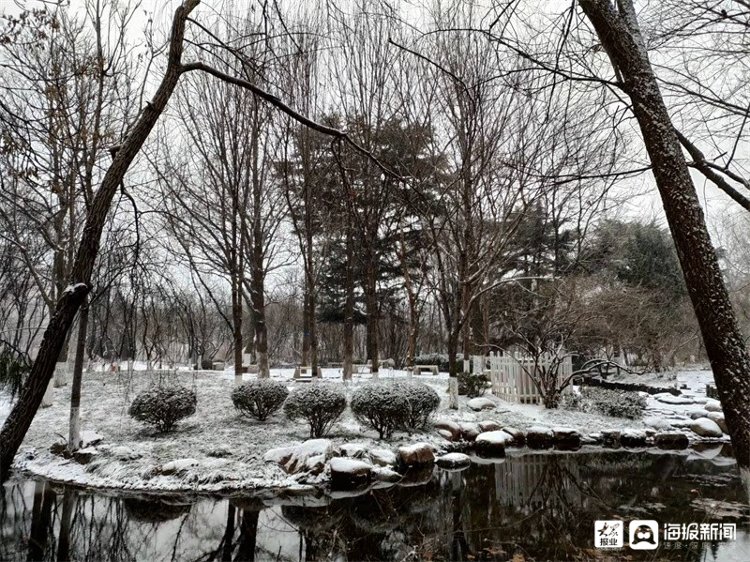 孙永莲|一场雪让潍坊美成了这样