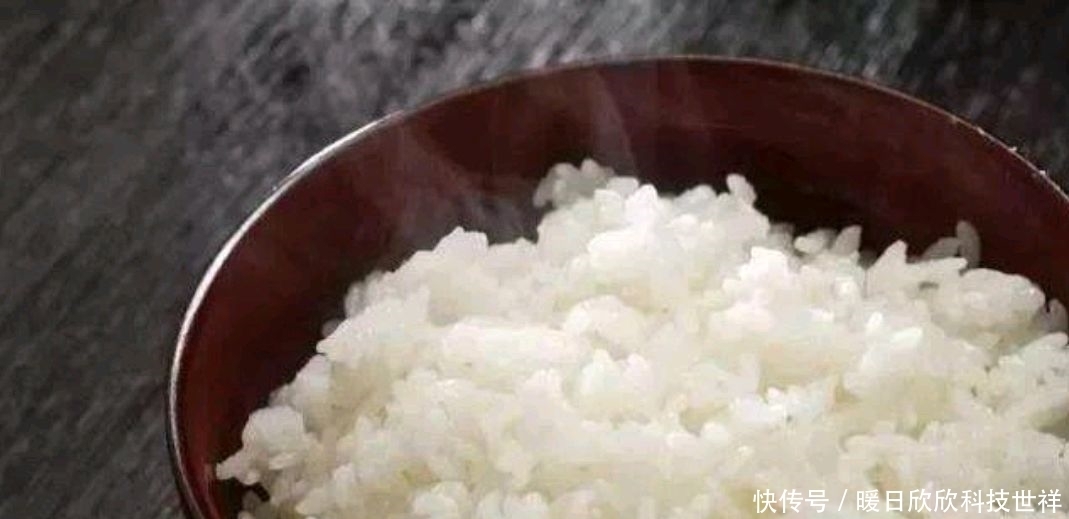 鲫鱼|米饭钓鱼，即经济又好用！用的好效果丝毫不比商品饵差