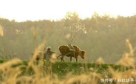 长寿老人普遍有这些好习惯，看似简单，做到的