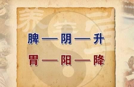 赤豆|湿气不除,越补越毒!一个经典好方,健脾化湿,宁心养胃,滋养全身