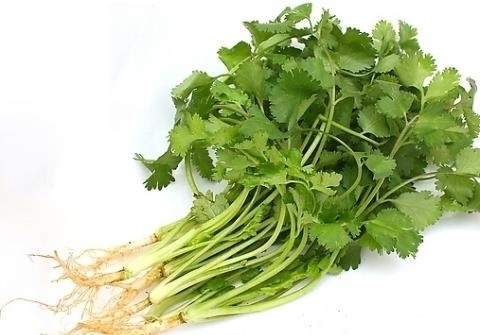忌口|香菜雖好,但不是人人都能吃,此類人吃了對身體不好,得忌口
