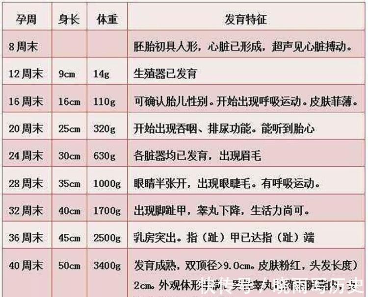体重|胎儿最后一个“猛涨期”,孕妇有三个表现,抓住对娃有好处