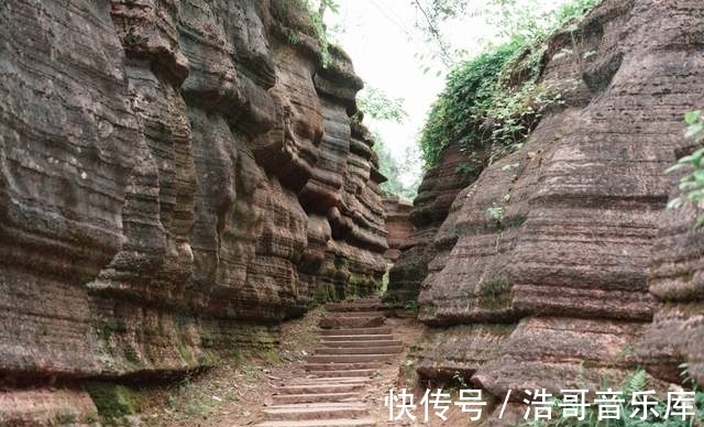 红石林|湘西有座魔幻石头林，形成花了5亿年，景美人少很冷门