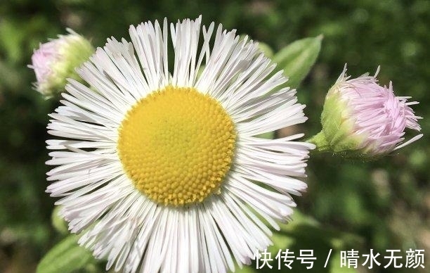 主见|往后8天，手摘桃花，不拖不欠，思念难忍，旧人回头，多金多福