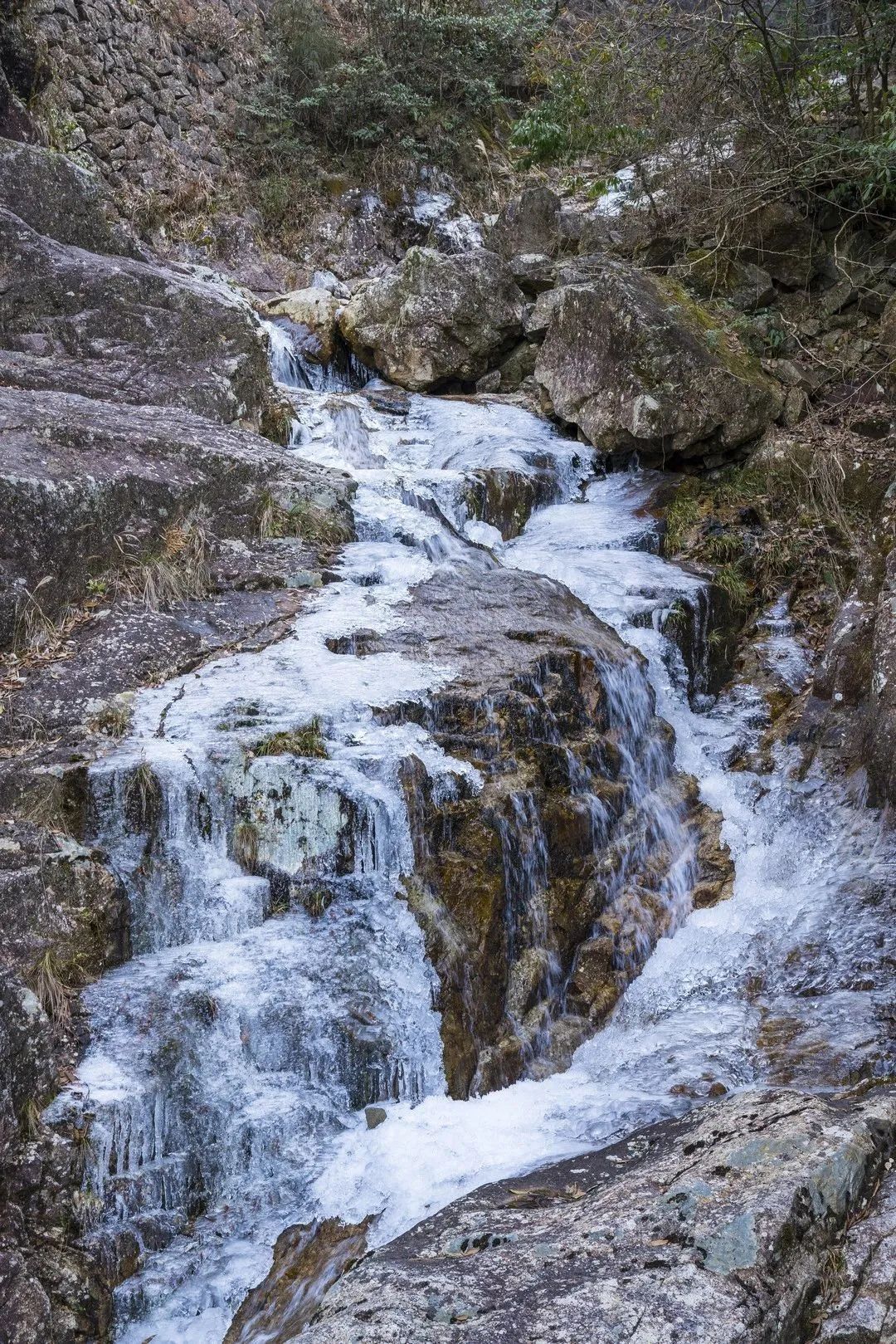 庆元县|不是初雪，胜似初雪，庆元雾凇，宛若仙境！