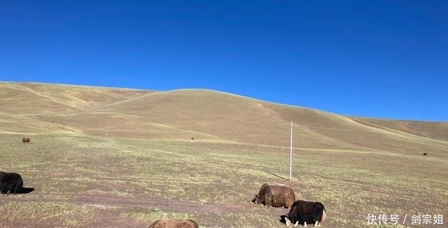 独闯新藏线D10，松西村到多玛乡，翻越公路最高点红土达坂！