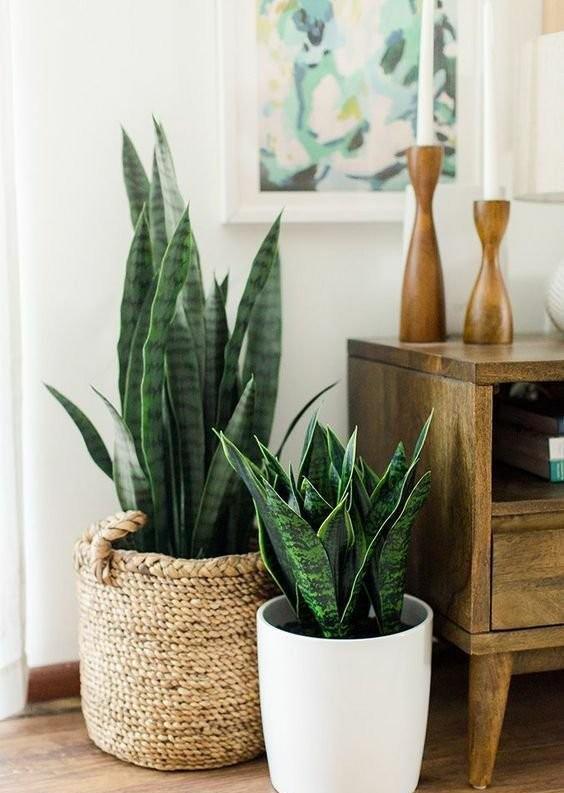 油漆|新房装修好不要着急入住，切记要做好4步，别因为着急而忽视健康