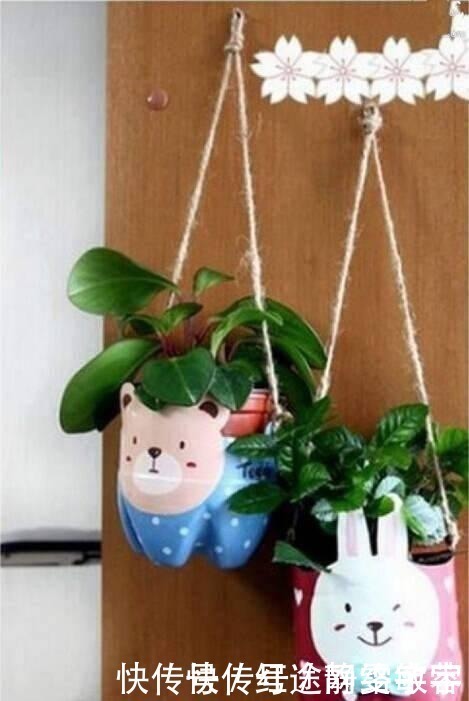 用完的洗衣液瓶千万别扔，它大有妙用！