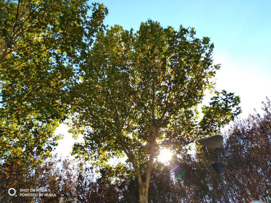 努比亚|实现全面屏的另一个方向 努比亚X全面评测