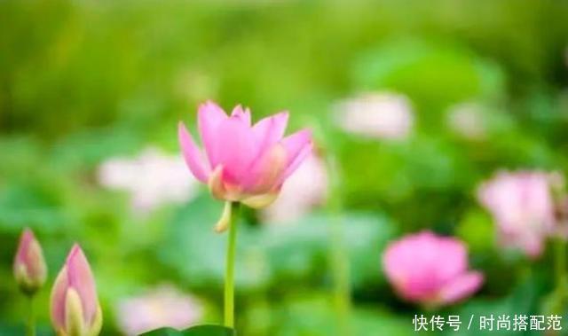 王伟伟|一个人再老实,也不能在这三件事上软弱,会被人看不起