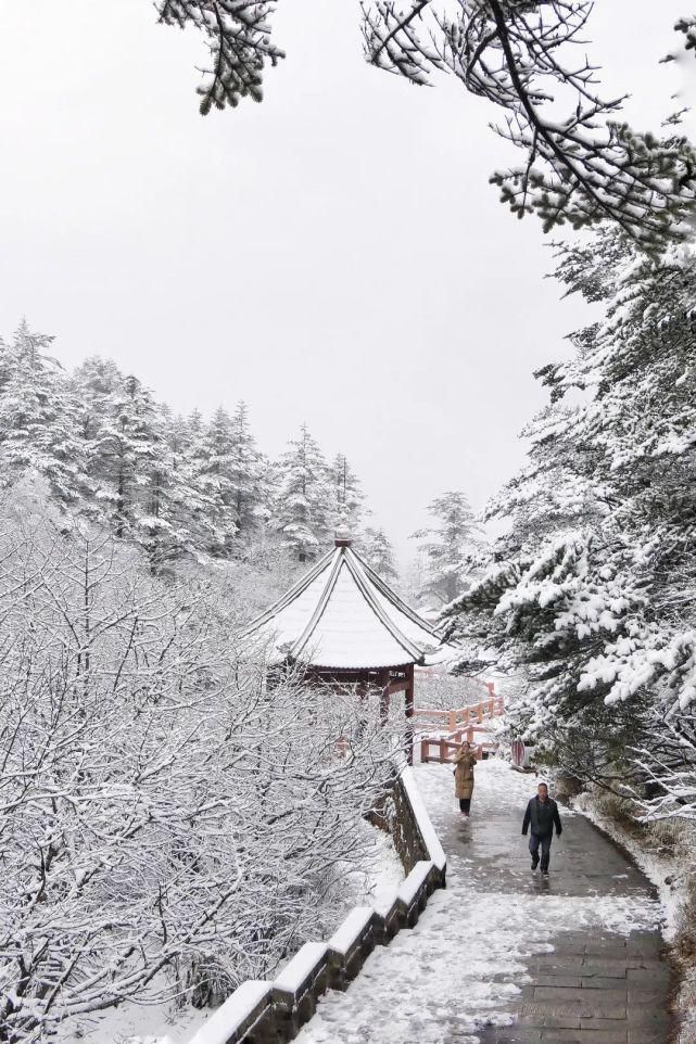 美啦！今晨峨眉山突降大雪