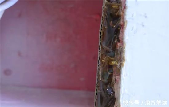 螺丝|墙上插座松动不好用,学会一招,不花一分钱,比新的还牢固