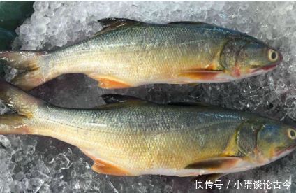 不要放在冰箱的4种食物,尤其最后一种,宁愿扔了也不存冰箱!