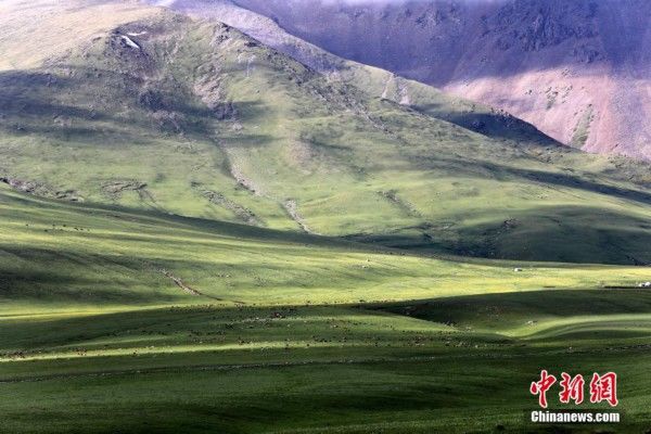 美景|雨后美景 阳光散照如丝带“飘浮”草原之上