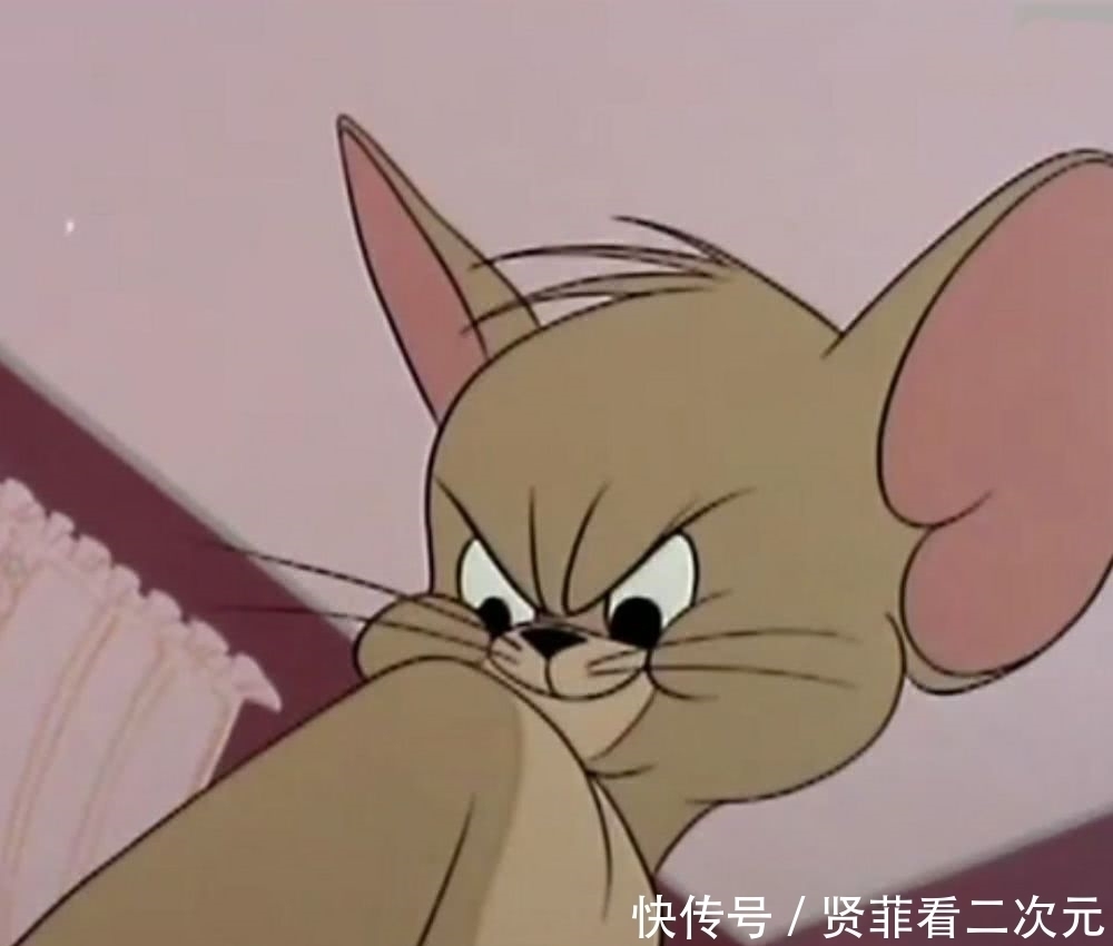 猫和老鼠你知道为什么汤姆一直吃不到杰瑞吗真实原因让人泪目