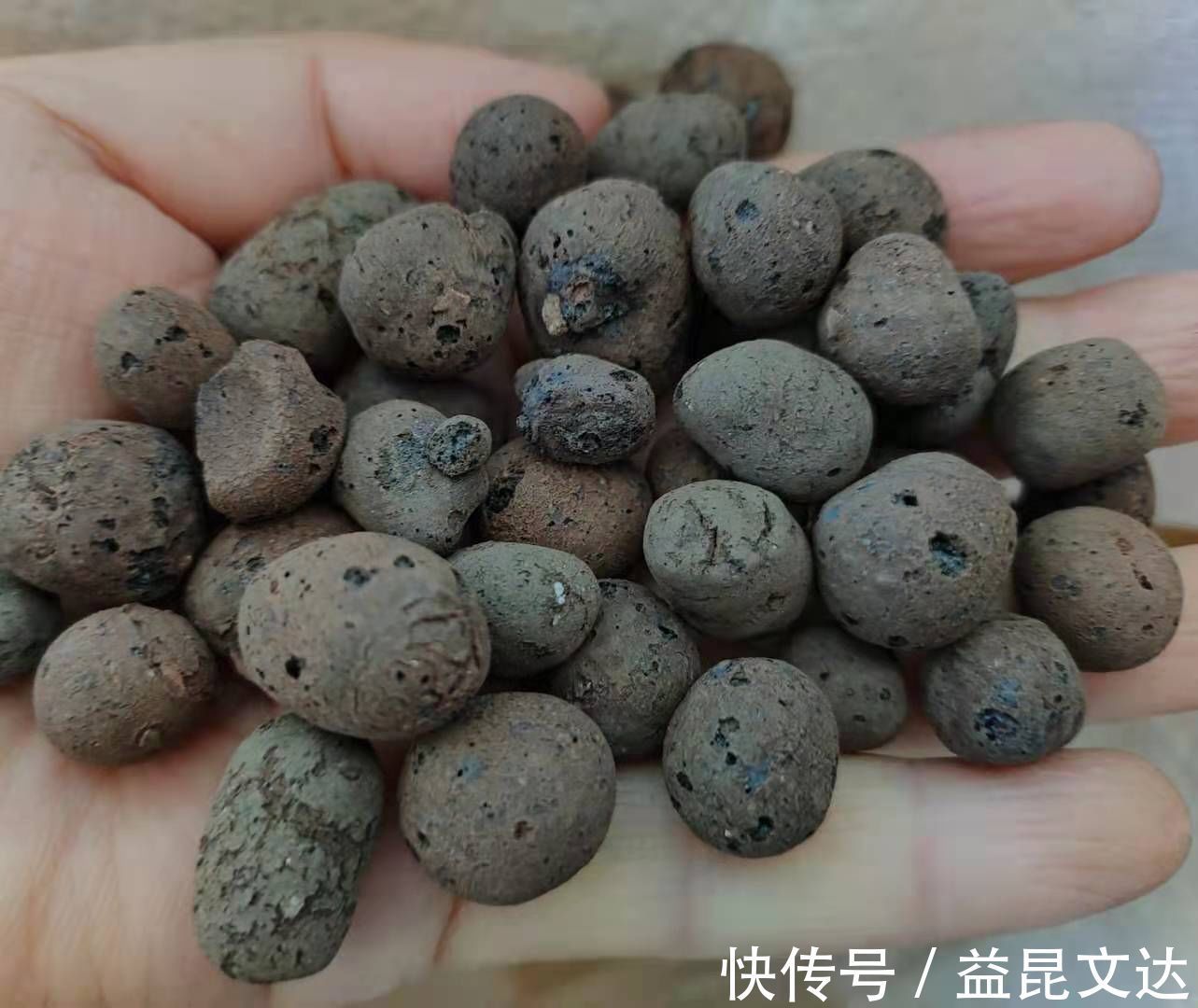 花盆底垫什么好？推荐一些实用的东西，既透水又保肥