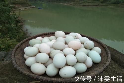 孕妇|怀孕后，孕妇别吃皮蛋易影响胎儿健康，另外四种蛋多吃对胎儿好