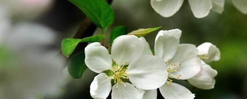 中兴四大$杨万里被严重低估的一首诗,通篇无比的忧愁,读来当真是肝肠寸断