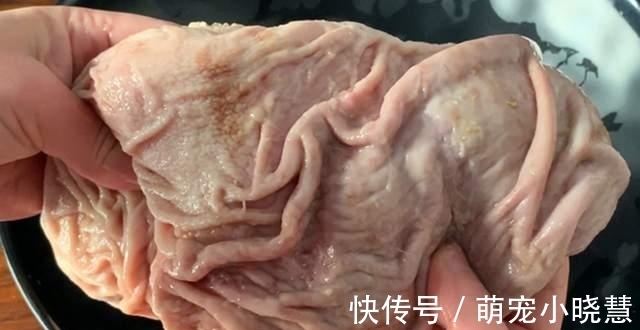 加盐|洗猪肚,加盐洗就错了,如此做,5分钟洗净,猪肚不腥不臊更入味