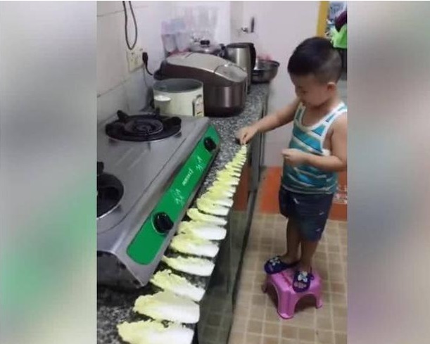 妈妈|小男孩帮妈妈做家务剥大白菜，看到成品妈妈瞬间笑喷了