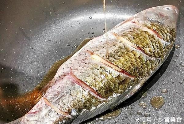 色拉油|它曾是“淡水鱼王”,因为名字不好被剔除四大家鱼,但美味无比!
