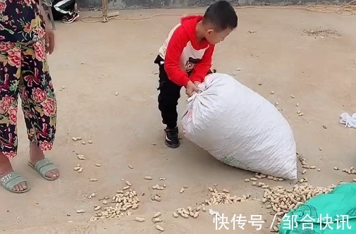 拖拉机|萌娃“开拖拉机”帮奶奶运花生走红,不愧是全村最靓的那个仔