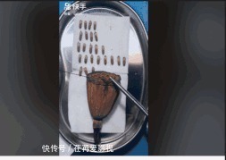 王醫生|32歲醫生竟給水果做手術？一夜吸粉12萬！網友：“我的膝蓋跪爛了”