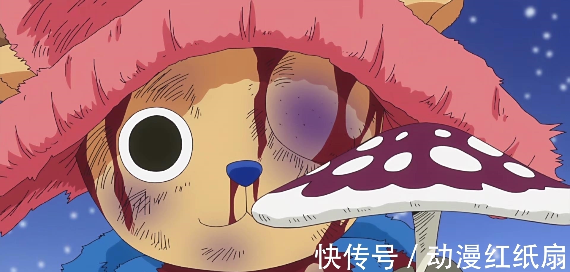 橡胶果实|海贼王,误食恶魔果实的4位大佬,结果各不相同,有人还成了皇